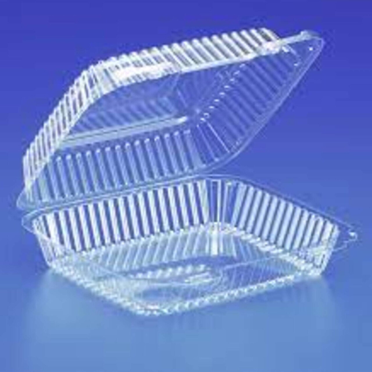 100 Count Heavy Duty Clear Plastic Containers Hinged 8 Inch Shallow Storage